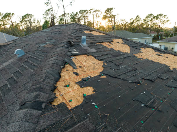 Best Asphalt Shingle Roofing  in Cicero, IN
