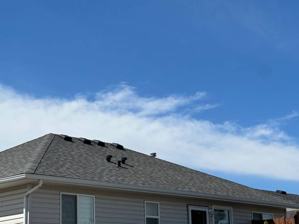 Best Commercial Roofing Services  in Cicero, IN